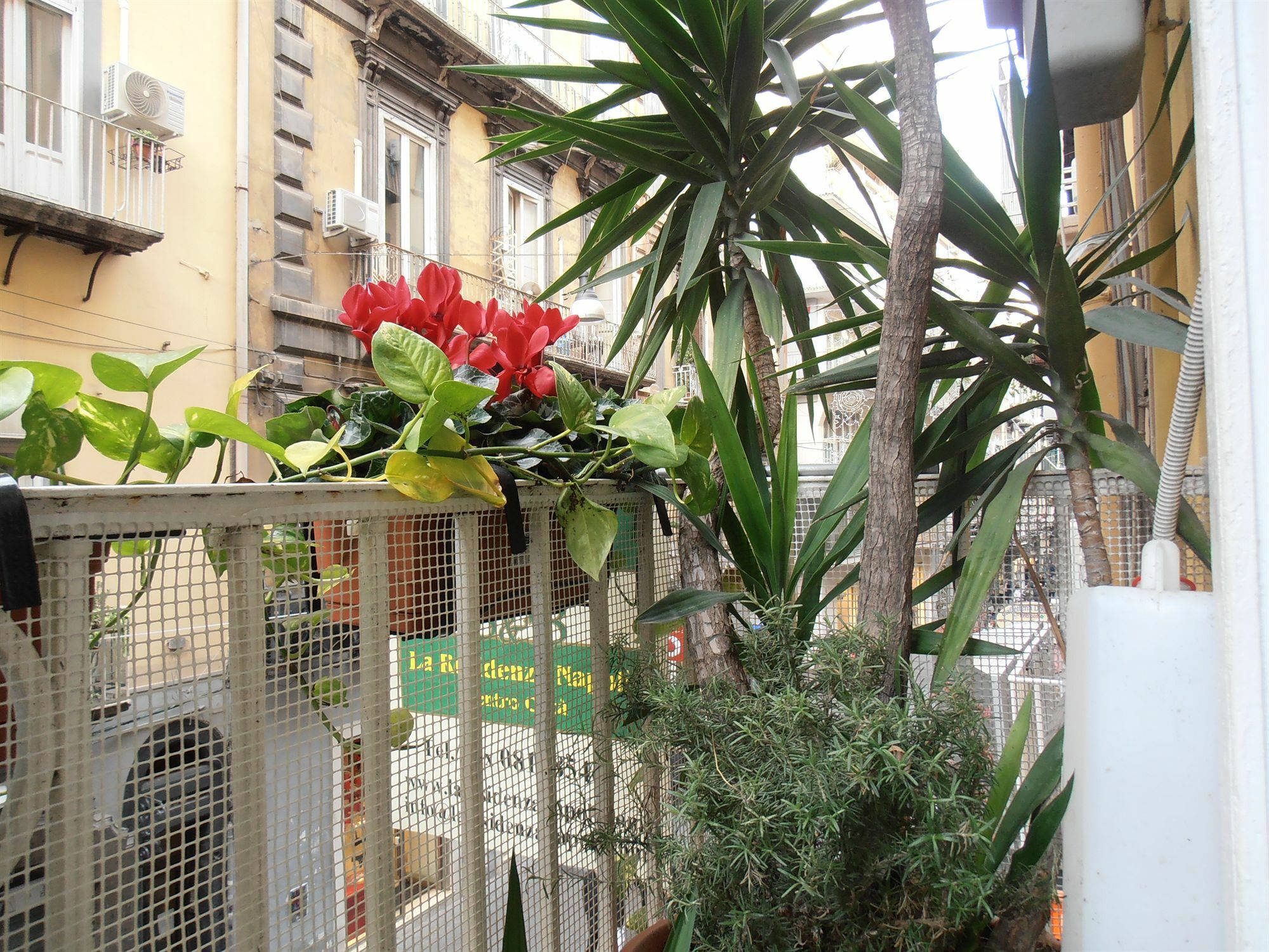 Bed & Breakfast Plebiscito Home Naples Exterior photo